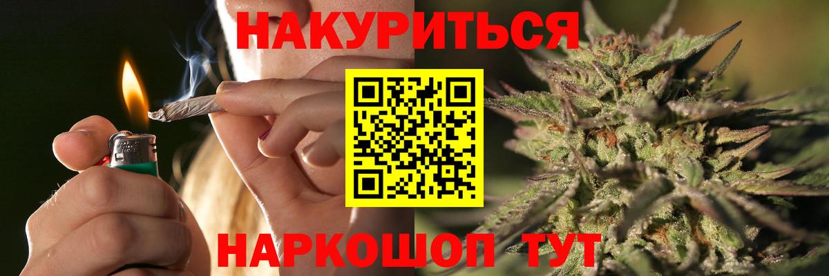 Марихуана план  Вход с VPN  Ростов Великий  Конопля сатива 